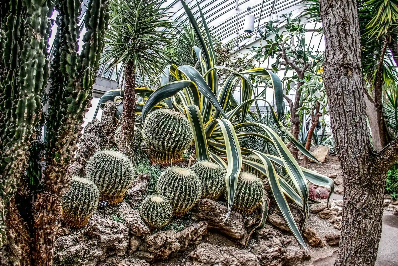 Wholesale Plant Supply