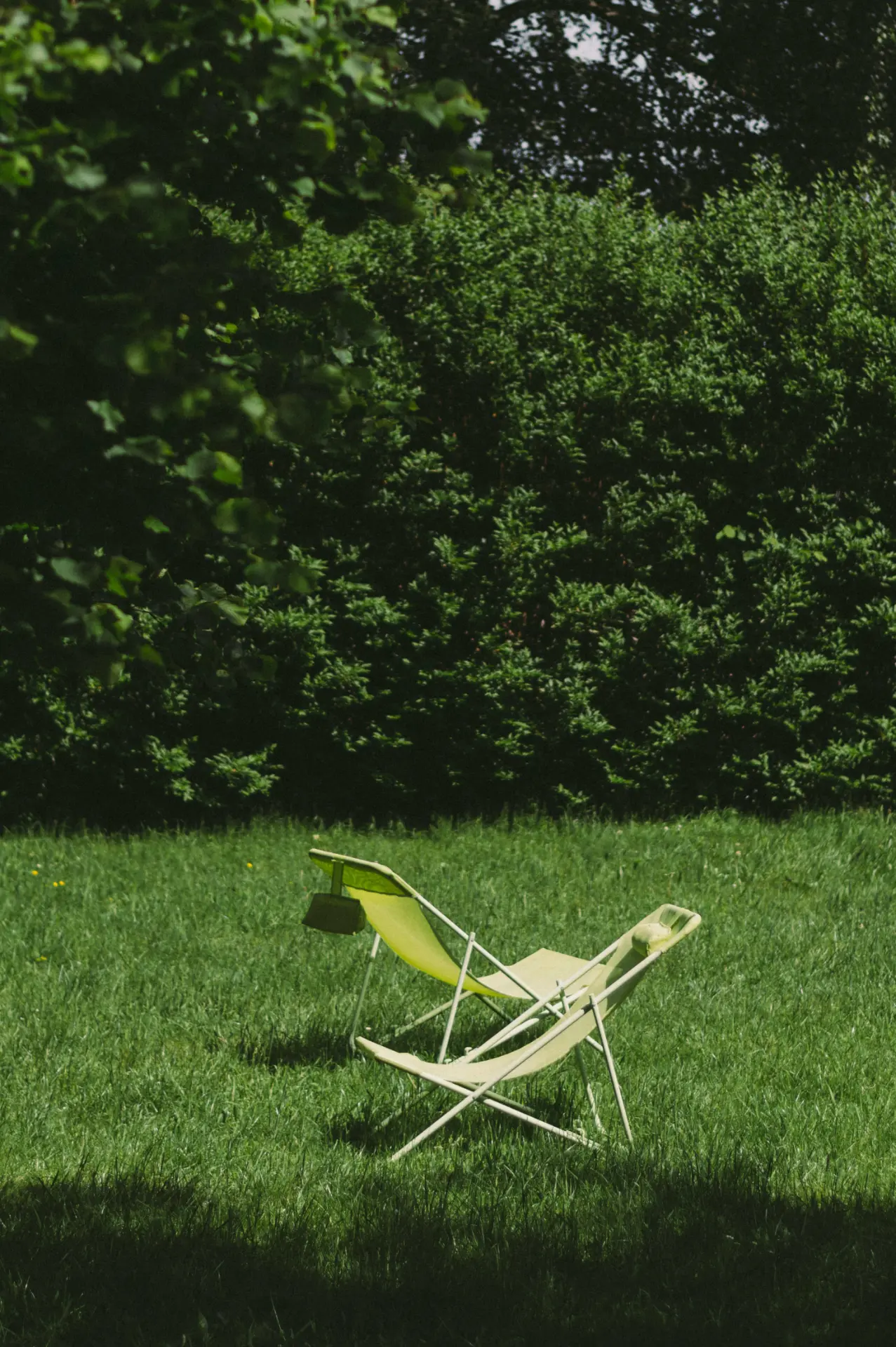 andscape design